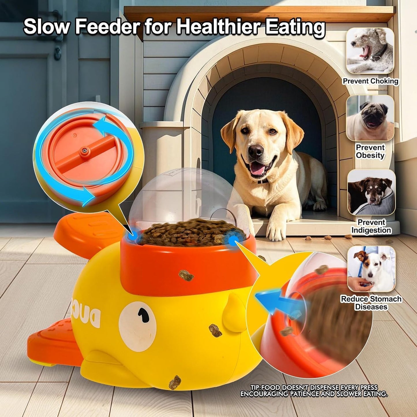 Petzento – Gioco Interattivo con Dispenser