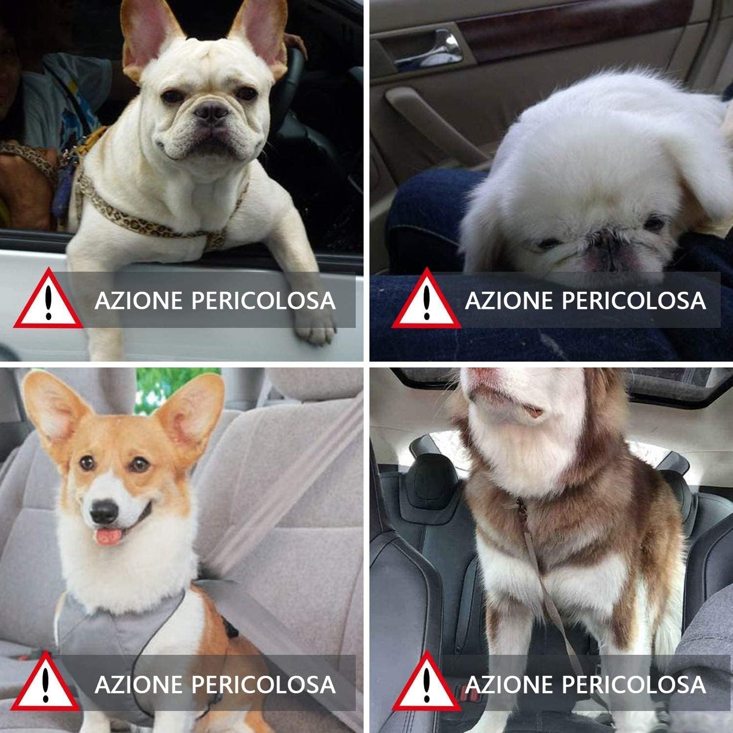Petzento - Il Posto Preferito del Tuo Cane in Auto – Sicuro, Morbido e Facile da Installare